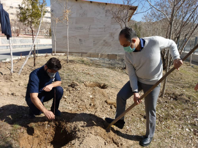 روز درختکاری و هفته منابع طبیعی
